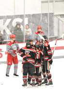 Hockey: Louisville Cards at Ohio State